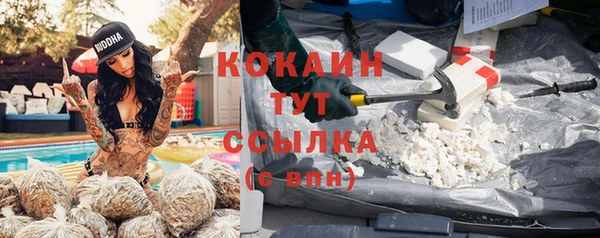 эйфоретик Аркадак