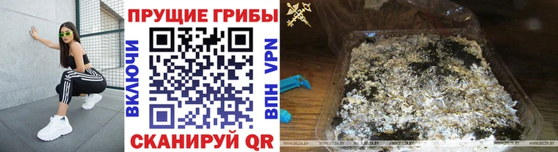 Галлюциногенные грибы ЛСД  Сорочинск 